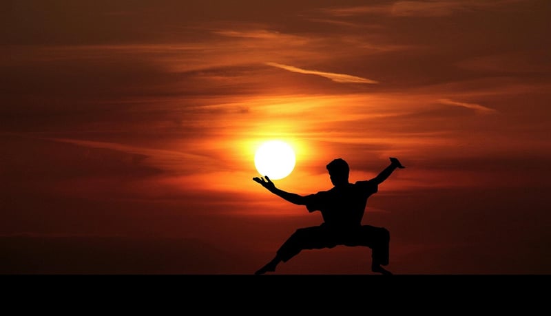 Sun Style Tai Chi Image 2