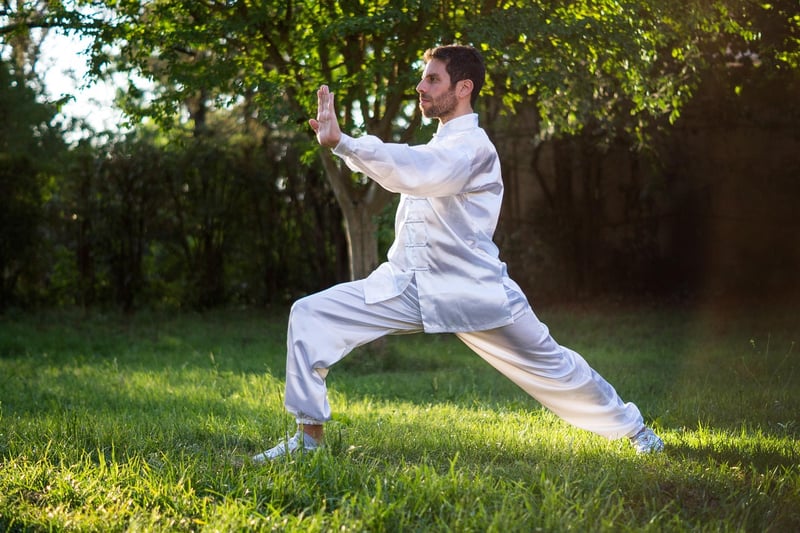 Sun Style Tai Chi Image 1